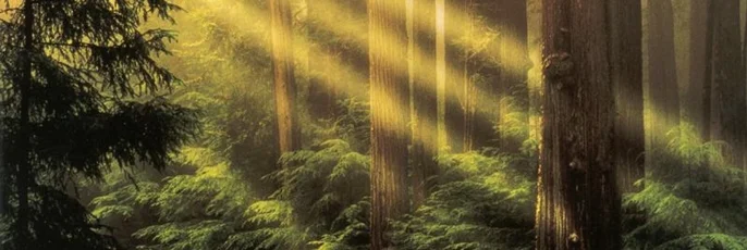 index life changing prayer